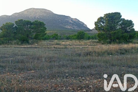 Land plot for sale in Lorca, Murcia, Spain 170000 sq.m. No. 185386 - photo 4