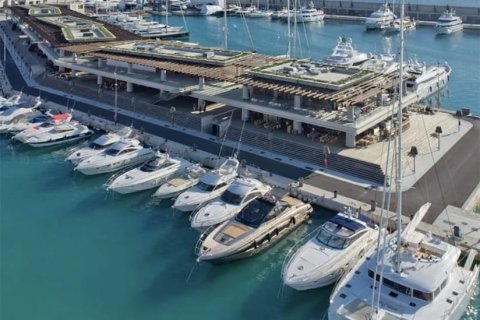 Villa à vendre à El Toro, Mallorca, Espagne, 4 chambres, 330 m2 No. 143961 - photo 10