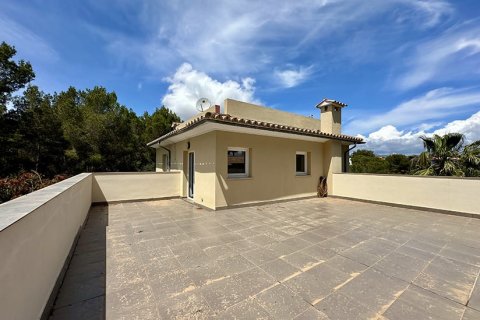 Villa à vendre à Sol De Mallorca, Mallorca, Espagne, 3 chambres, 215 m2 No. 143962 - photo 27