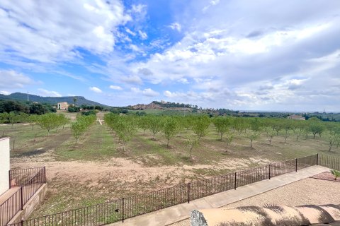 Finca for rent Sant Llorenc Des Cardassar, Mallorca, Spain 3 bedrooms, 157 sq.m. No. 139596 - photo 22