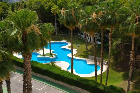 Apartment for sale in Dehesa De Campoamor, Alicante, Spain 2 bedrooms, 53 sq.m. No. 190264 - photo 10