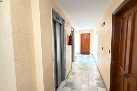 Apartamento en venta en Torrevieja, Alicante, España 3 dormitorios, 114 m2 No. 190263 - foto 22