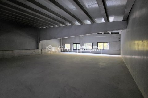 Lokal usługowy w Principado De Andorra (Ninguna Poblacion Tiene C.P.), Lleida, Hiszpania 458 mkw. nr 157138 – zdjęcie 5