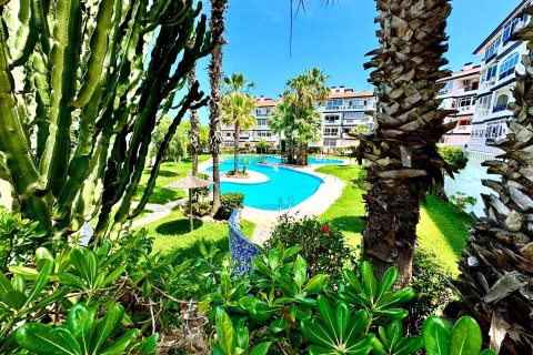 Dúplex en venta en Torrevieja, Alicante, España 2 dormitorios, 65 m2 No. 173839 - foto 29