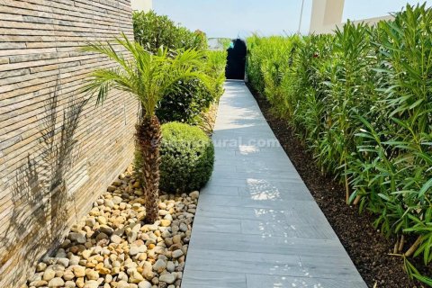 Willa w Algorfa, Alicante, Hiszpania 2 sypialnie, 132 mkw. nr 143633 – zdjęcie 15