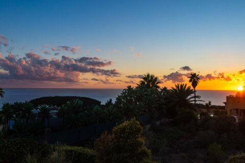 Villa for sale Puig De Ros, Mallorca, Spain 3 bedrooms, 413 sq.m. No. 138207 - photo 13
