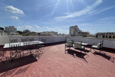 Apartment à louer Palma de Majorca, Mallorca, Espagne, 3 chambres, 103 m2 No. 138204 - photo 1
