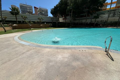 Huoneisto vuokrattavana Benidorm, Alicante, Espanja , 79 m2 No. 166567 - kuva 10