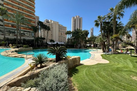 Huoneisto vuokrattavana Benidorm, Alicante, Espanja , 79 m2 No. 166567 - kuva 8