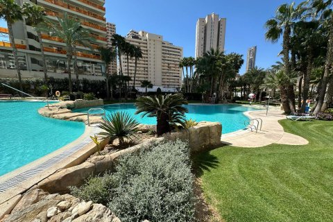 Huoneisto vuokrattavana Benidorm, Alicante, Espanja , 79 m2 No. 166567 - kuva 12