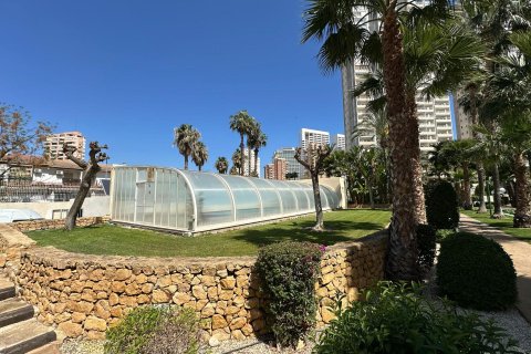 Huoneisto vuokrattavana Benidorm, Alicante, Espanja , 79 m2 No. 166567 - kuva 2
