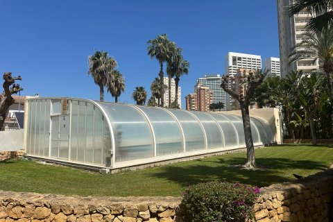 Huoneisto vuokrattavana Benidorm, Alicante, Espanja , 79 m2 No. 166567 - kuva 3
