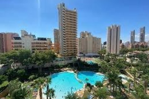 Huoneisto vuokrattavana Benidorm, Alicante, Espanja , 79 m2 No. 166567 - kuva 15