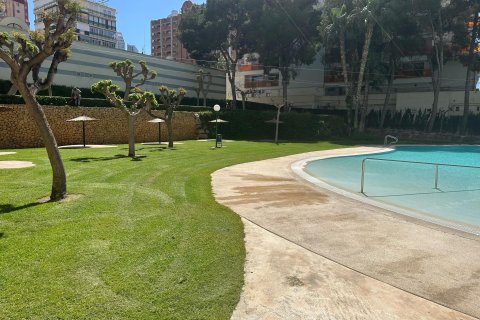 Huoneisto vuokrattavana Benidorm, Alicante, Espanja , 79 m2 No. 166567 - kuva 7