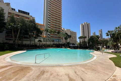 Huoneisto vuokrattavana Benidorm, Alicante, Espanja , 79 m2 No. 166567 - kuva 11