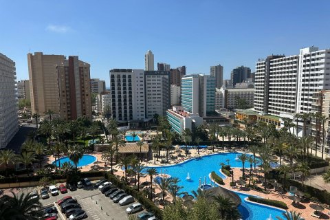 Huoneisto Benidorm, Alicante, Espanja 79 m2 No. 166567