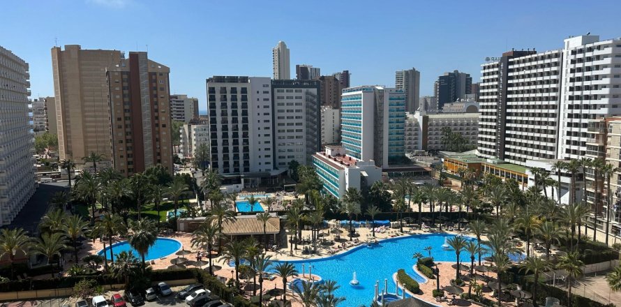 Huoneisto Benidorm, Alicante, Espanja 79 m2 No. 166567