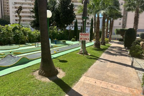 Huoneisto vuokrattavana Benidorm, Alicante, Espanja , 79 m2 No. 166567 - kuva 9