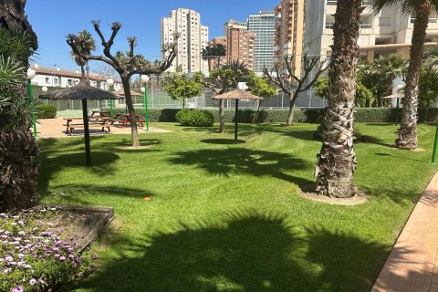 Huoneisto vuokrattavana Benidorm, Alicante, Espanja , 79 m2 No. 166567 - kuva 5