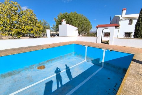 Villa for sale in Novelda, Alicante, Spain 8 bedrooms, 414 sq.m. No. 143664 - photo 3