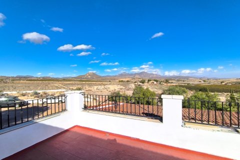 Villa for sale in Novelda, Alicante, Spain 8 bedrooms, 414 sq.m. No. 143664 - photo 6