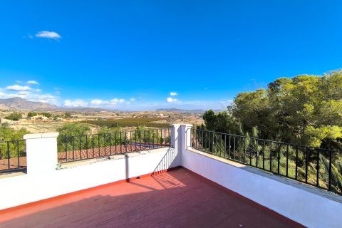 Villa for sale in Novelda, Alicante, Spain 8 bedrooms, 414 sq.m. No. 143664 - photo 7