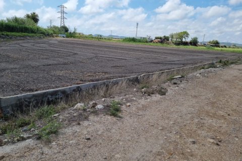 Finca a San Fulgencio, Alicante, Spagna 100 mq. N° 183605