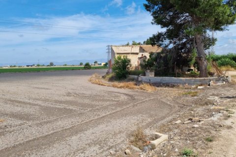 Finca for sale in San Fulgencio, Alicante, Spain 100 sq.m. No. 183605 - photo 3