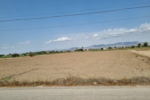 Terreno a Dolores, Alicante, Spagna N° 183610