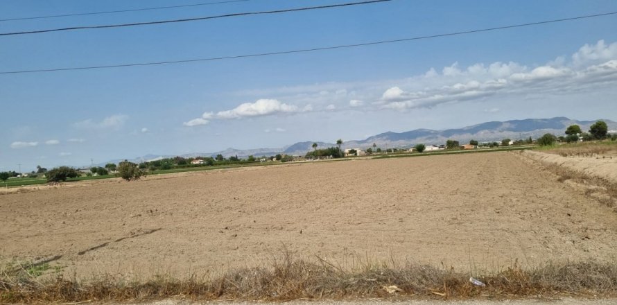 Działka w Dolores, Alicante, Hiszpania nr 183610