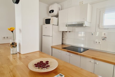 Penthäuser zum Verkauf in Malaga, Spanien 1 Schlafzimmer, 60 m2 Nr. 196553 - Foto 9