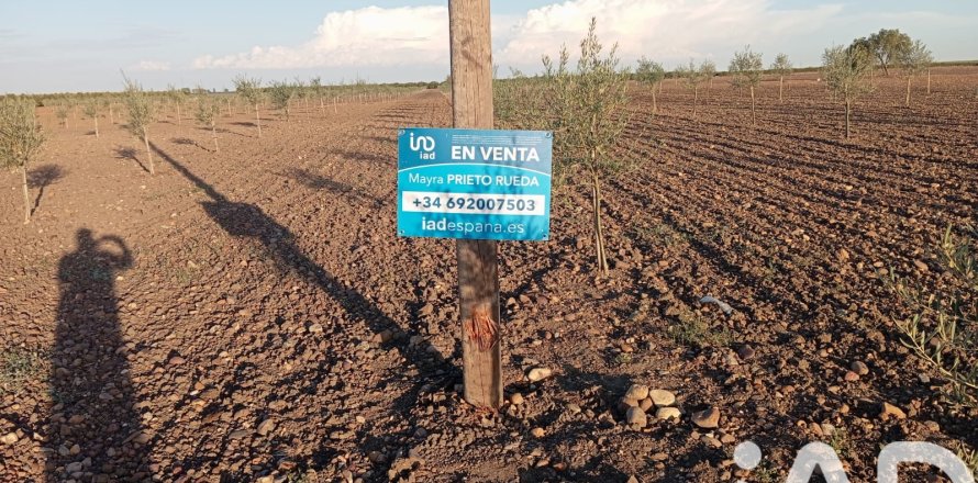 Коммерческая недвижимость в Экия, Севилья, Испания №152771