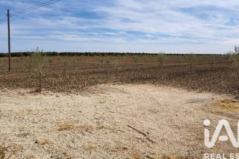 Продажа коммерческой недвижимости в Экия, Севилья, Испания №152771 - фото 3