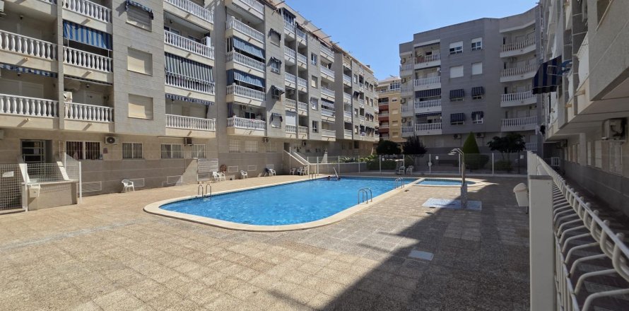 Wohnung in Torrevieja, Alicante, Spanien 39 m2 Nr. 194944