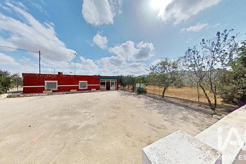Hus i Hondon de los Frailes, Alicante, Spanien 5 sovrum, 270 kvm. Nr. 195834