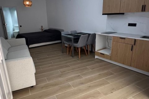 Wohnung zum Verkauf in Torrevieja, Alicante, Spanien 32 m2 Nr. 182867 - Foto 11