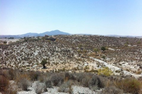 Land plot for sale in Lorca, Murcia, Spain No. 182862 - photo 3