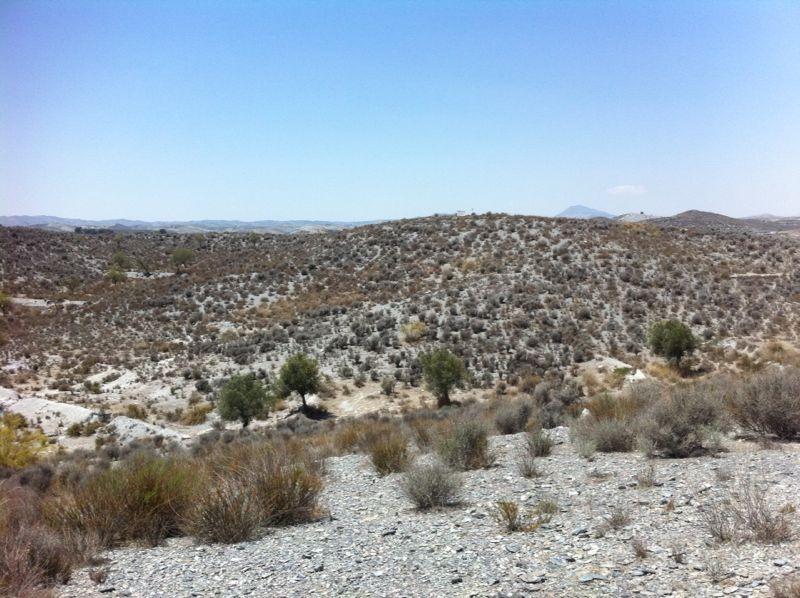 Parcela en Lorca, Murcia, España No. 182862