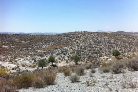 Land plot for sale in Lorca, Murcia, Spain No. 182862 - photo 2