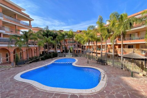 Apartament w Naquera, Valencia, Hiszpania 3 sypialnie, 131 mkw. nr 146313 – zdjęcie 28