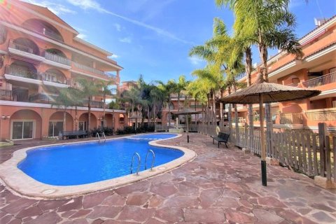 Apartament w Naquera, Valencia, Hiszpania 3 sypialnie, 131 mkw. nr 146313 – zdjęcie 27