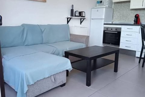 Lägenhet i Adeje, Tenerife, Spanien 1 sovrum, 45 kvm. Nr. 152555