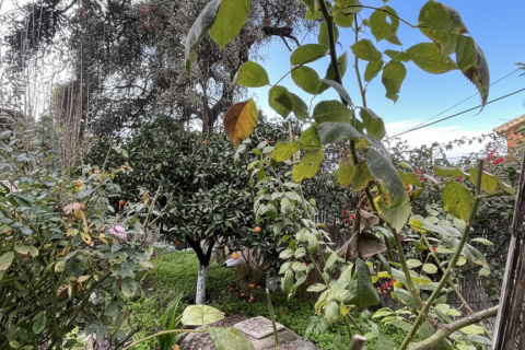 Dom w Alhaurin el Grande, Malaga, Hiszpania 2 sypialnie, 100 mkw. nr 152554 – zdjęcie 18