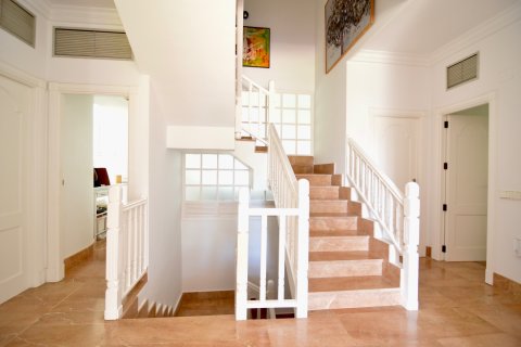 Villa zum Verkauf Torrevieja, Alicante, Spanien 4 Schlafzimmer, 520 m2 Nr. 135617 - Foto 11
