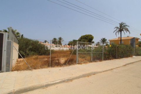 Land plot for sale in Orihuela, Alicante, Spain 894 sq.m. No. 191655 - photo 3