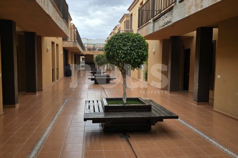 Dzīvoklis pārdošanā Costa del Silencio, Tenerife, Spānijā 2 istabas, 64 m2 Nr. 143743 - attēls 22