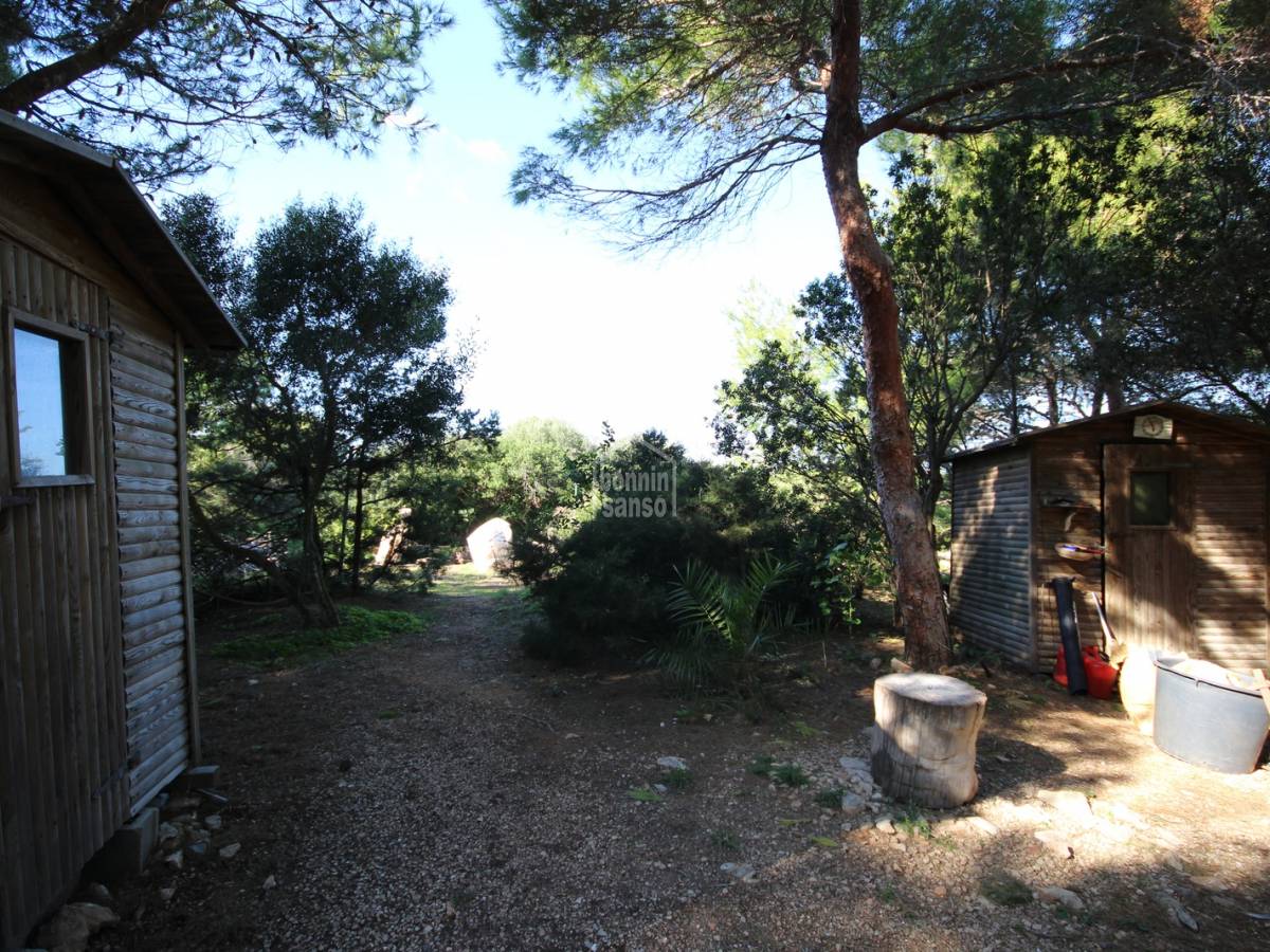 Land plot à Ciutadella De Menorca, Menorca, Espagne No. 97514