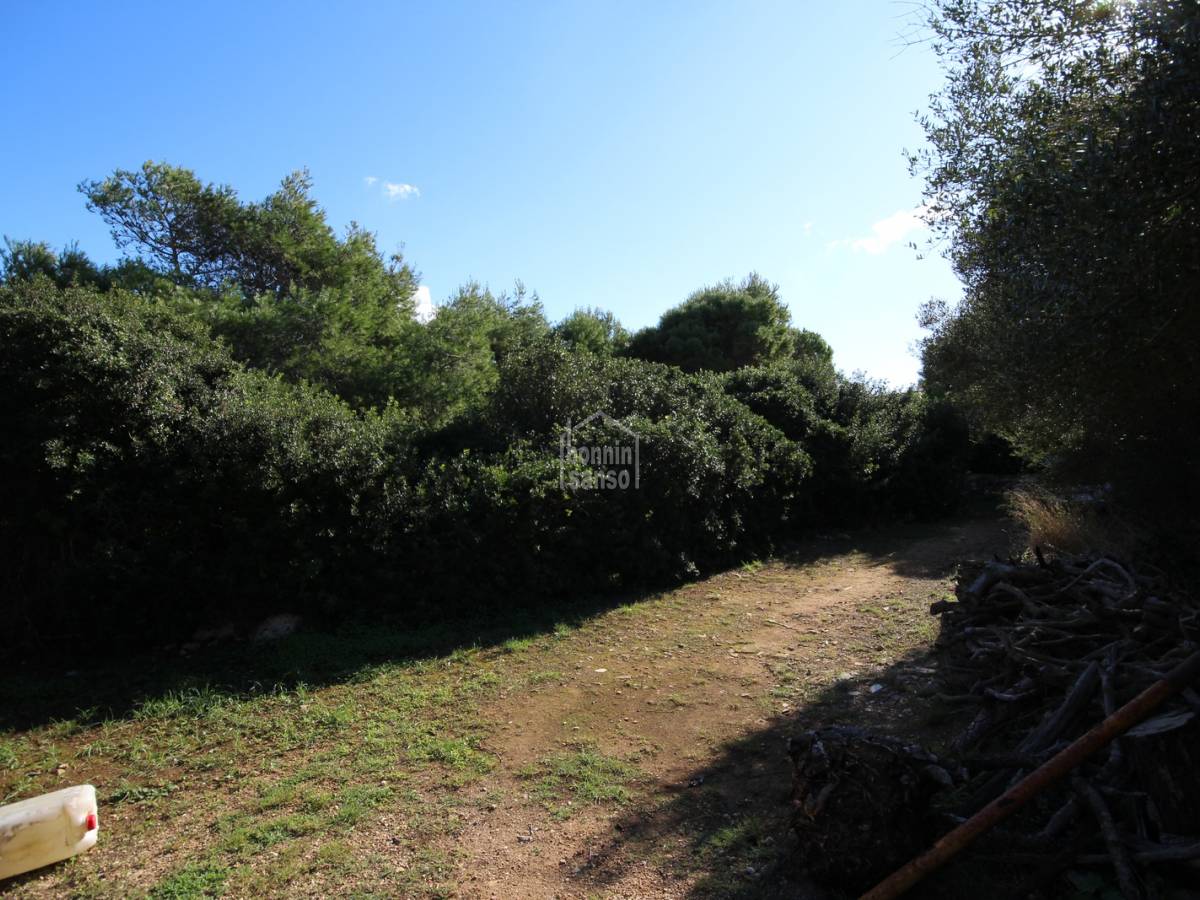 Land plot à Ciutadella De Menorca, Menorca, Espagne No. 97514