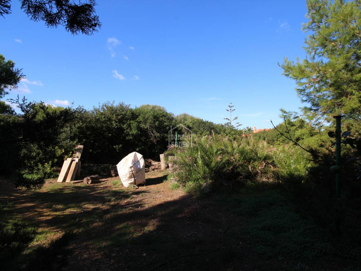 Land plot à Ciutadella De Menorca, Menorca, Espagne No. 97514