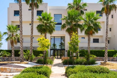 Huoneisto myytävänä Pinar De Campoverde, Alicante, Espanja, 2 makuuhuonetta, 115 m2 No. 146021 - kuva 29